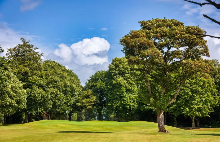 Killarney Golf and Fishing Club - Mahony's Point: #8