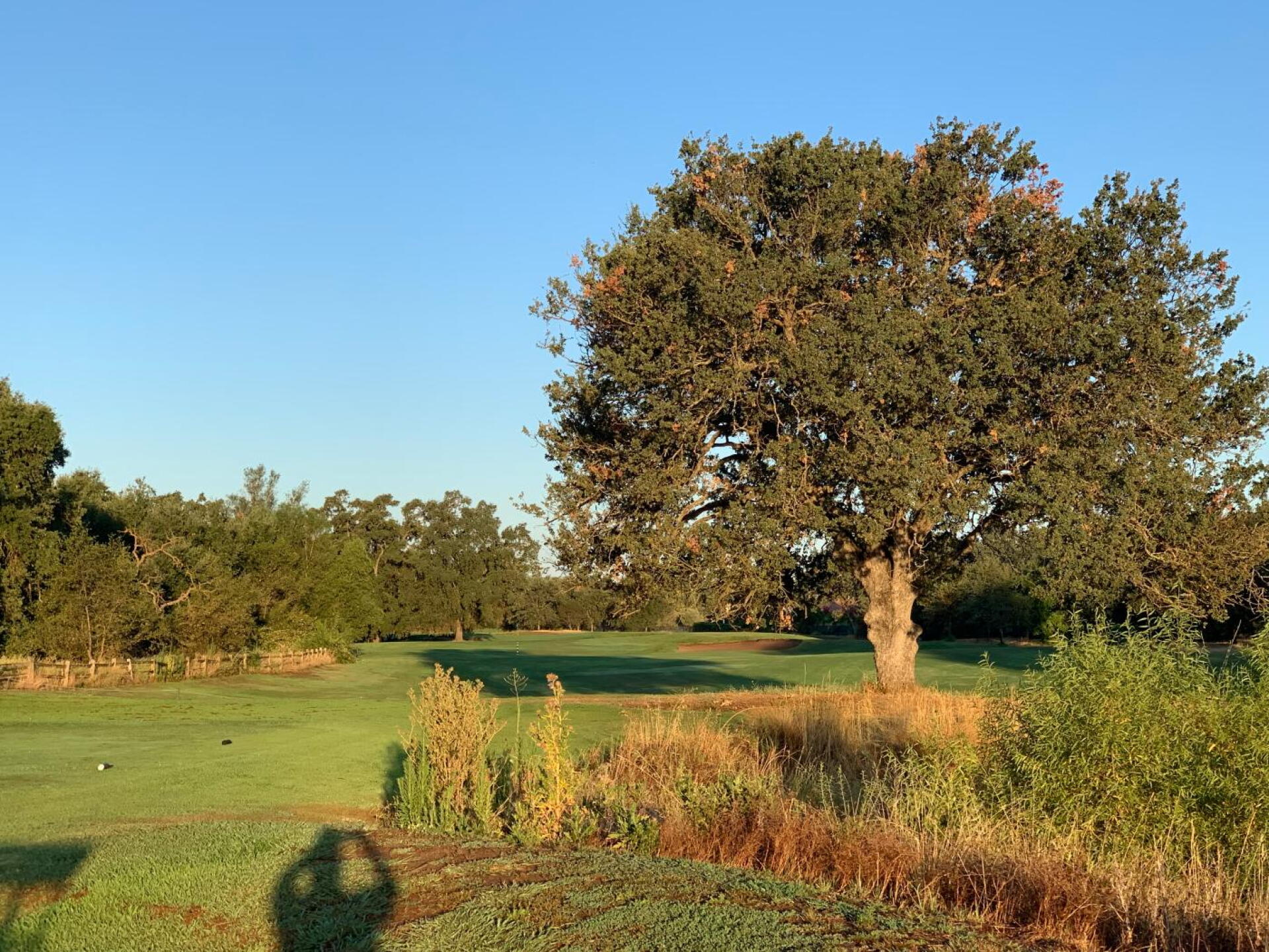 #2 from the Blue Tees (Photo submitted by u00000641784 on 12/28/2019)