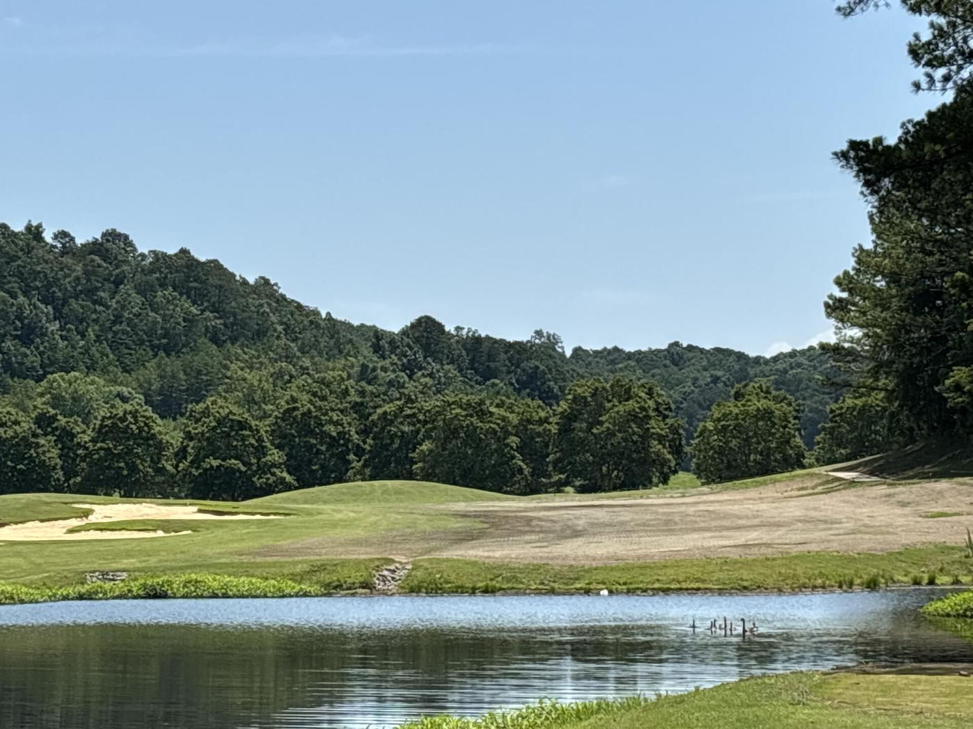 18 Fairway from the tee box (Photo submitted by ajbseb on 06/22/2024)