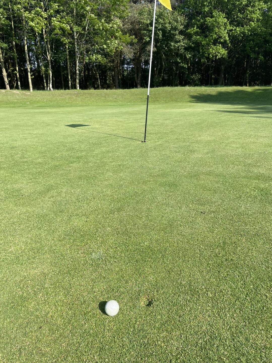 (Photo submitted by Jimmyd1991 on 05/21/2024)