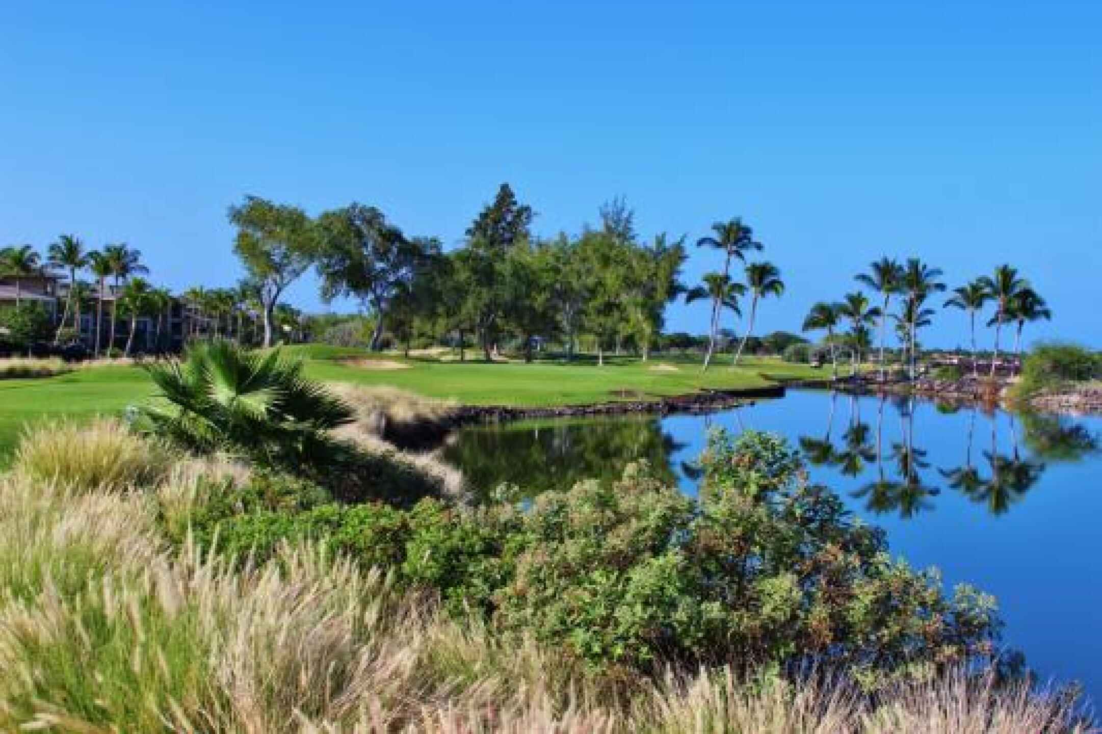 Water guards the par-3 seventh hole on the Kings course at the Waikoloa Beach Resort. (Photo submitted by JasonDeeganGA on 01/28/2014)