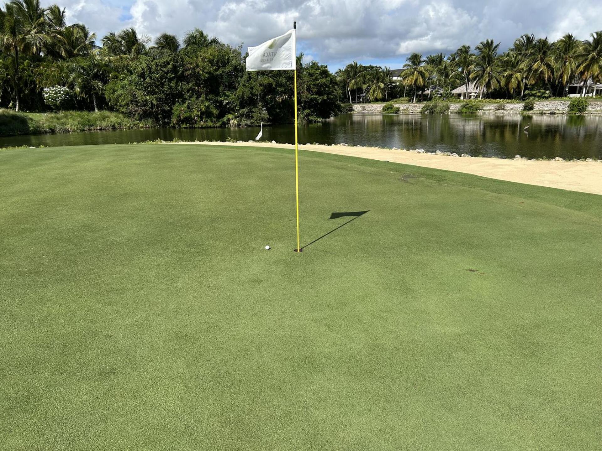 Great greens (Photo submitted by hxZx3F5l3SCzBfIBVbTB on 01/26/2026)