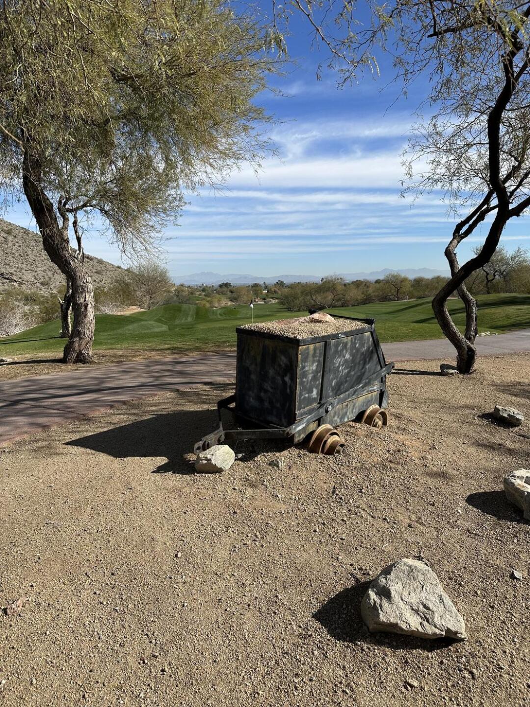 (Photo submitted by Steve7793224 on 01/09/2023)