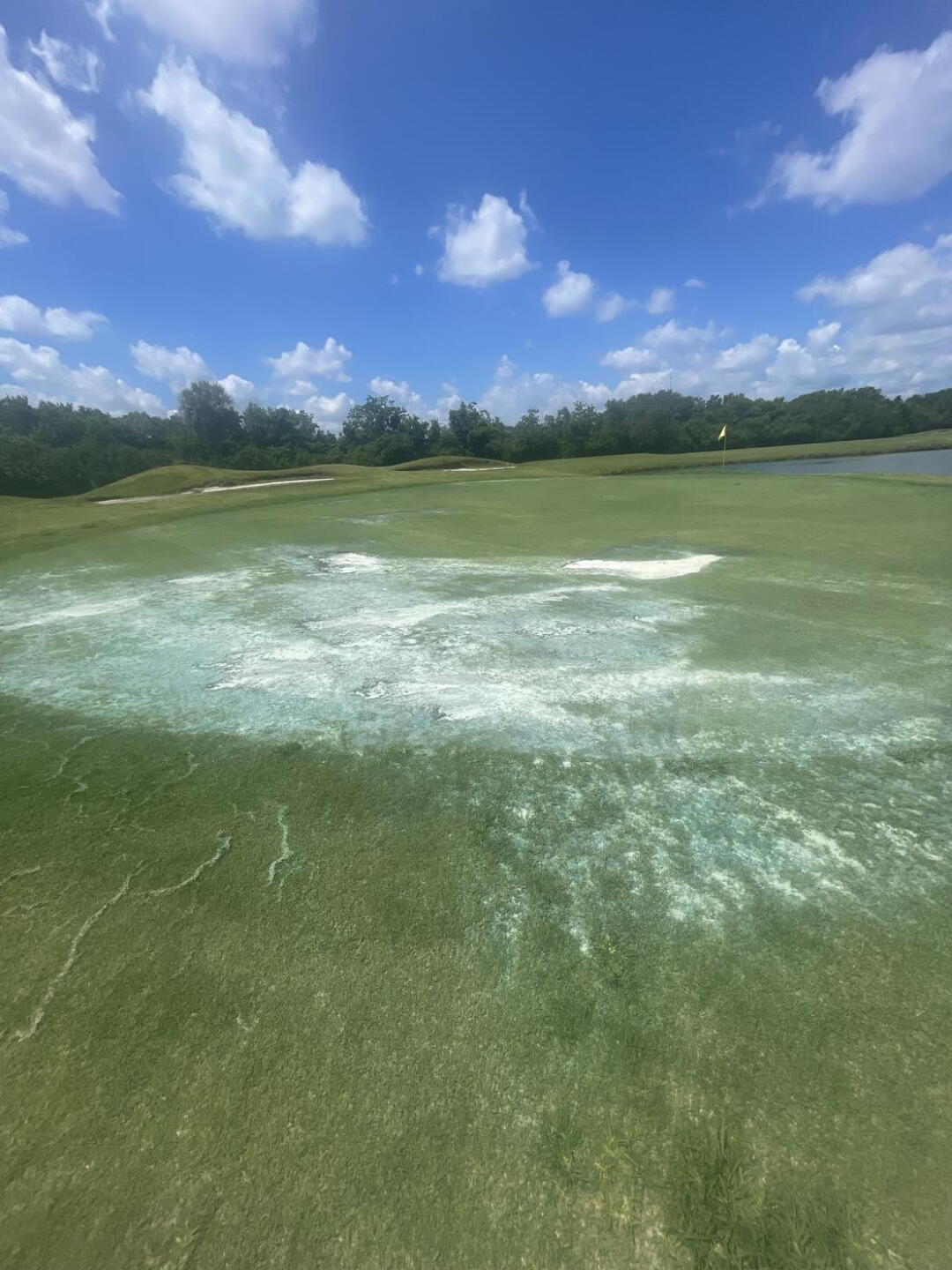 Green Conditions (Photo submitted by 9OmBAqImj44CrR12rp2L on 05/15/2025)