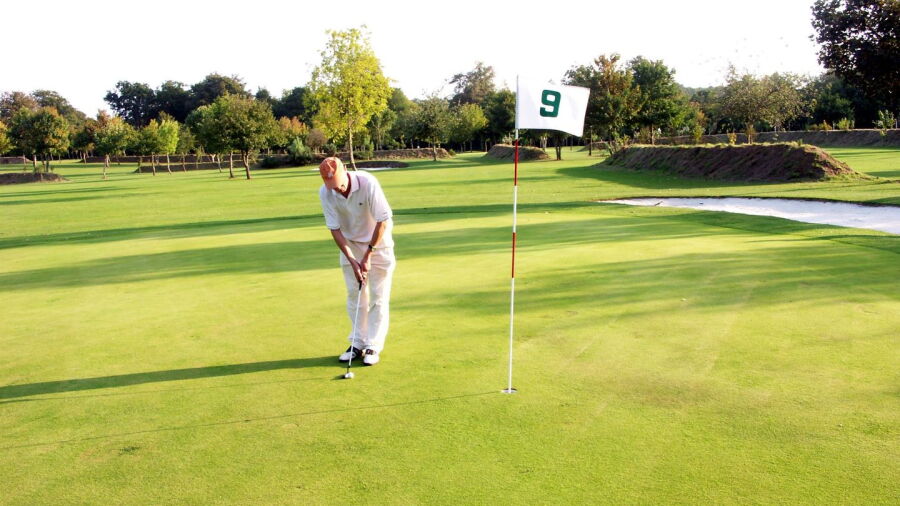 Orangerie de Lanniron GC: #9
