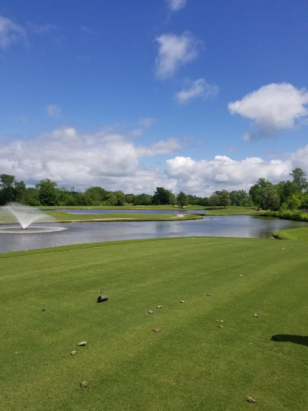 (Photo submitted by ShortKnocker1 on 05/05/2019)