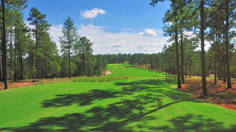 Dormie Club golf course - No. 1