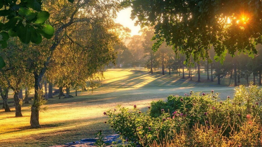 Taree GC