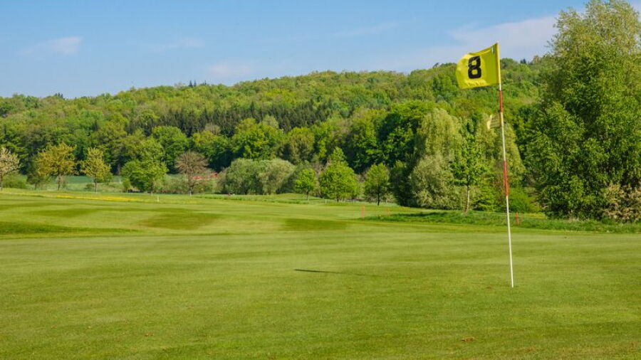 Donauwoerth-Gut Lederstatt GC: #8
