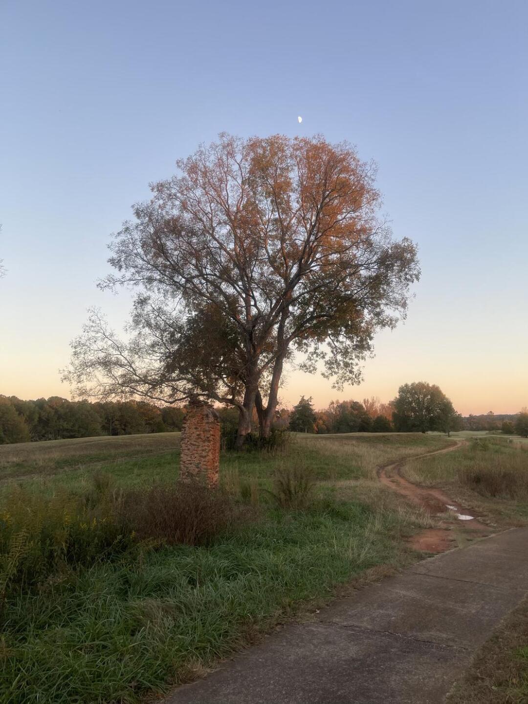 Some heritage left in place (Photo submitted by vwZt5AW7427SXoIExKyk on 11/13/2021)