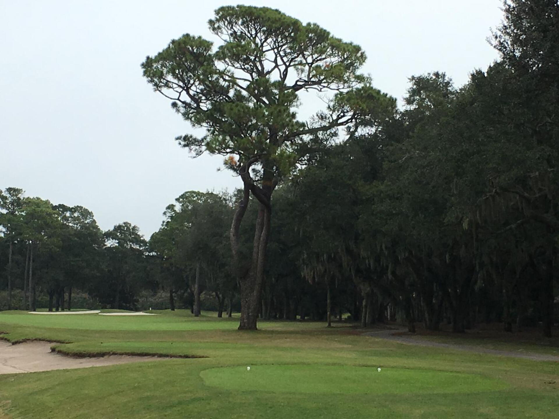 another fairway (Photo submitted by Azalea13 on 11/27/2018)