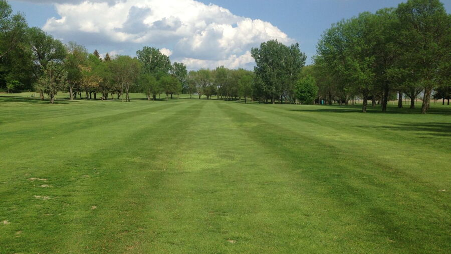 Fisher Grove CC