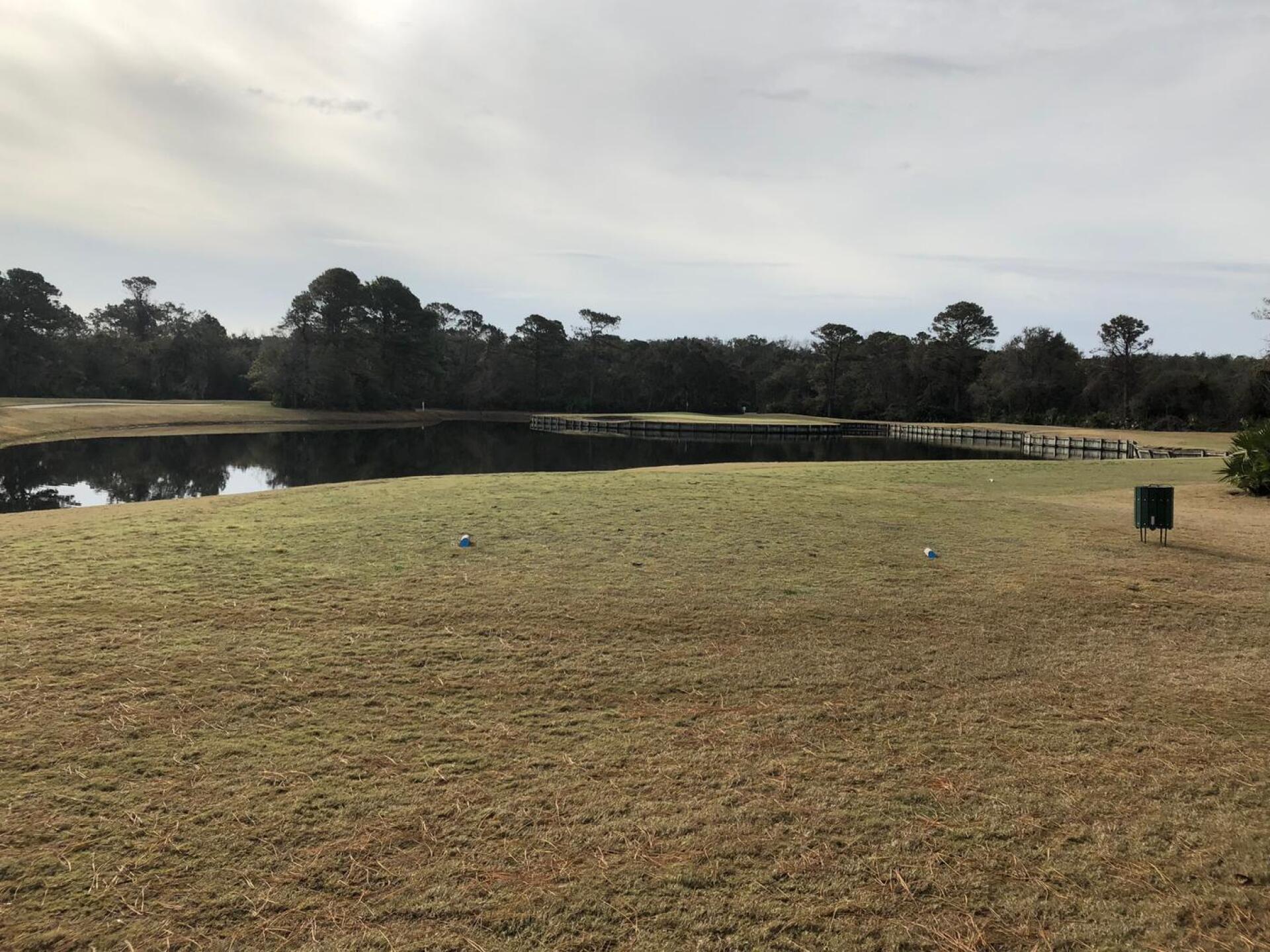 Signature Island Green. Birdie made my day! (Photo submitted by u291767851 on 01/09/2018)