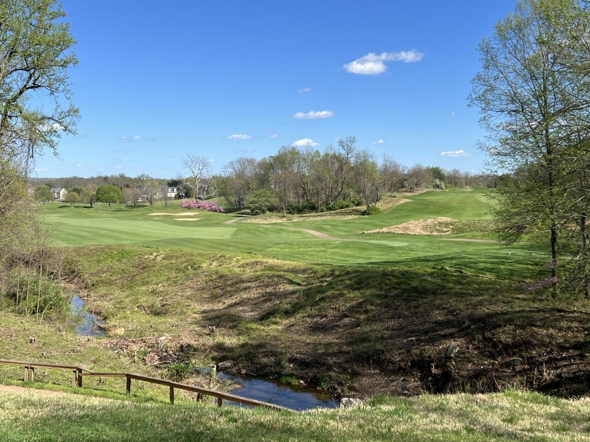 (Photo submitted by jagZpsu on 04/14/2024)