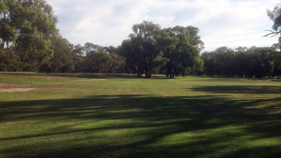 Nyngan GC