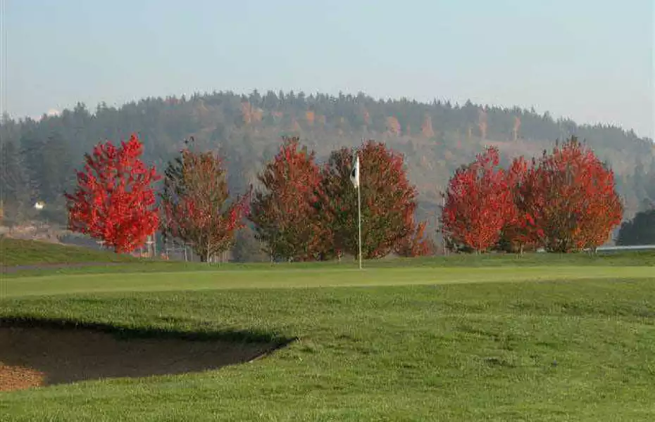 Sumner Meadows GL: #4