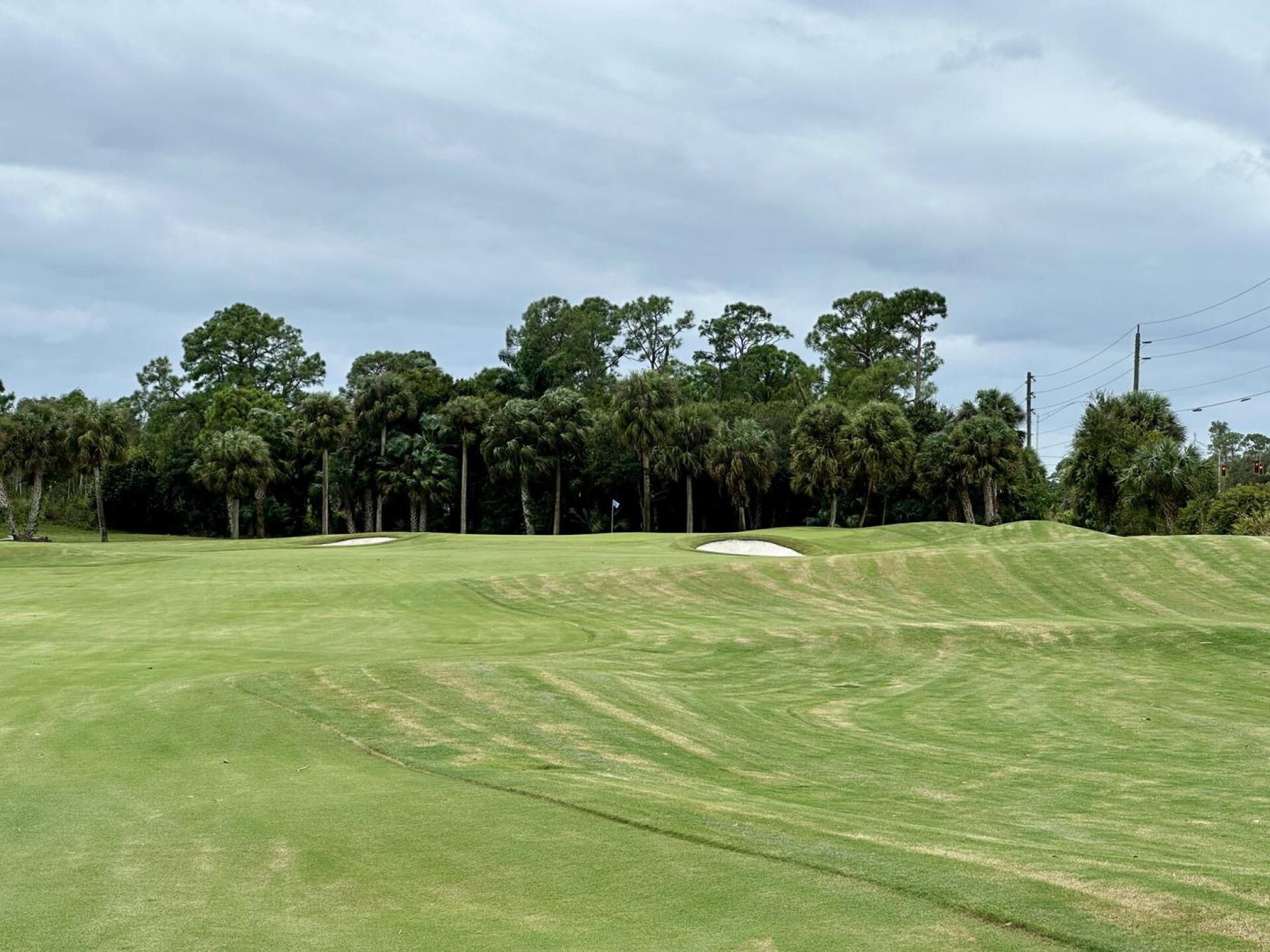 The Florida Club, hole 11 (Photo submitted by TimGavrichGP on 11/29/2024)