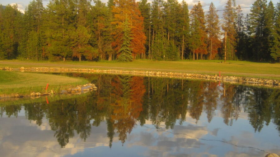 Valemount Pines GCC