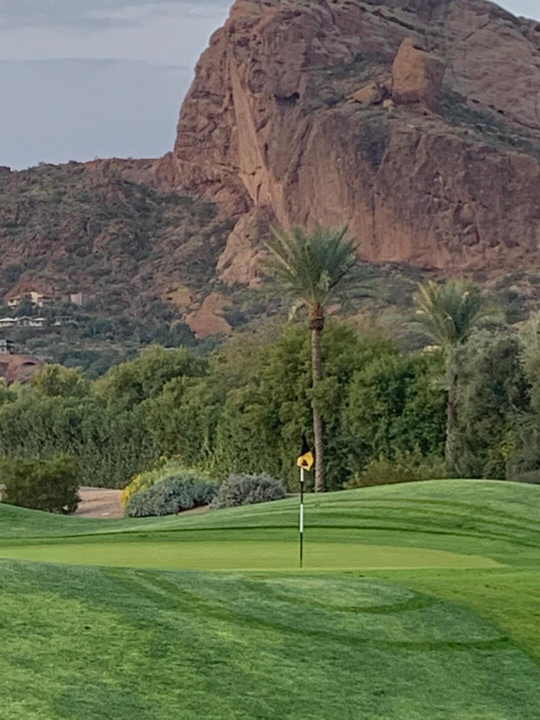 (Photo submitted by gaylechampagne on 12/08/2019)