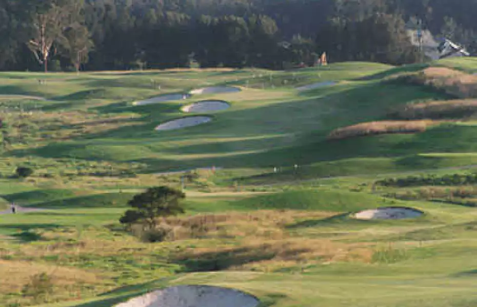 Links - Shell Cove: #5