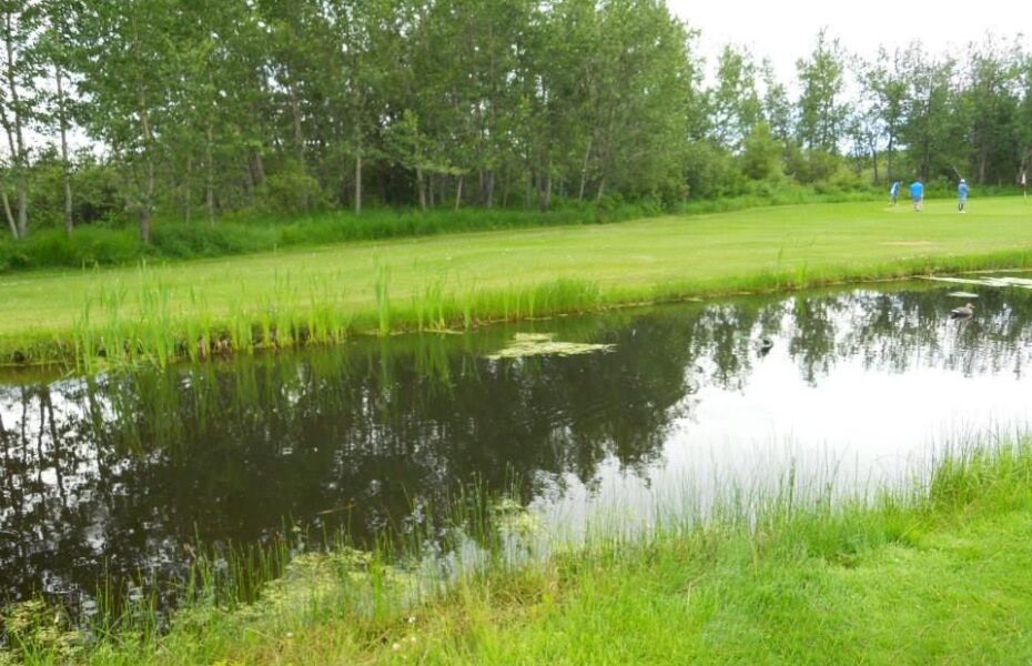 Vilna Golf Course in Vilna, Alberta, Canada GolfPass