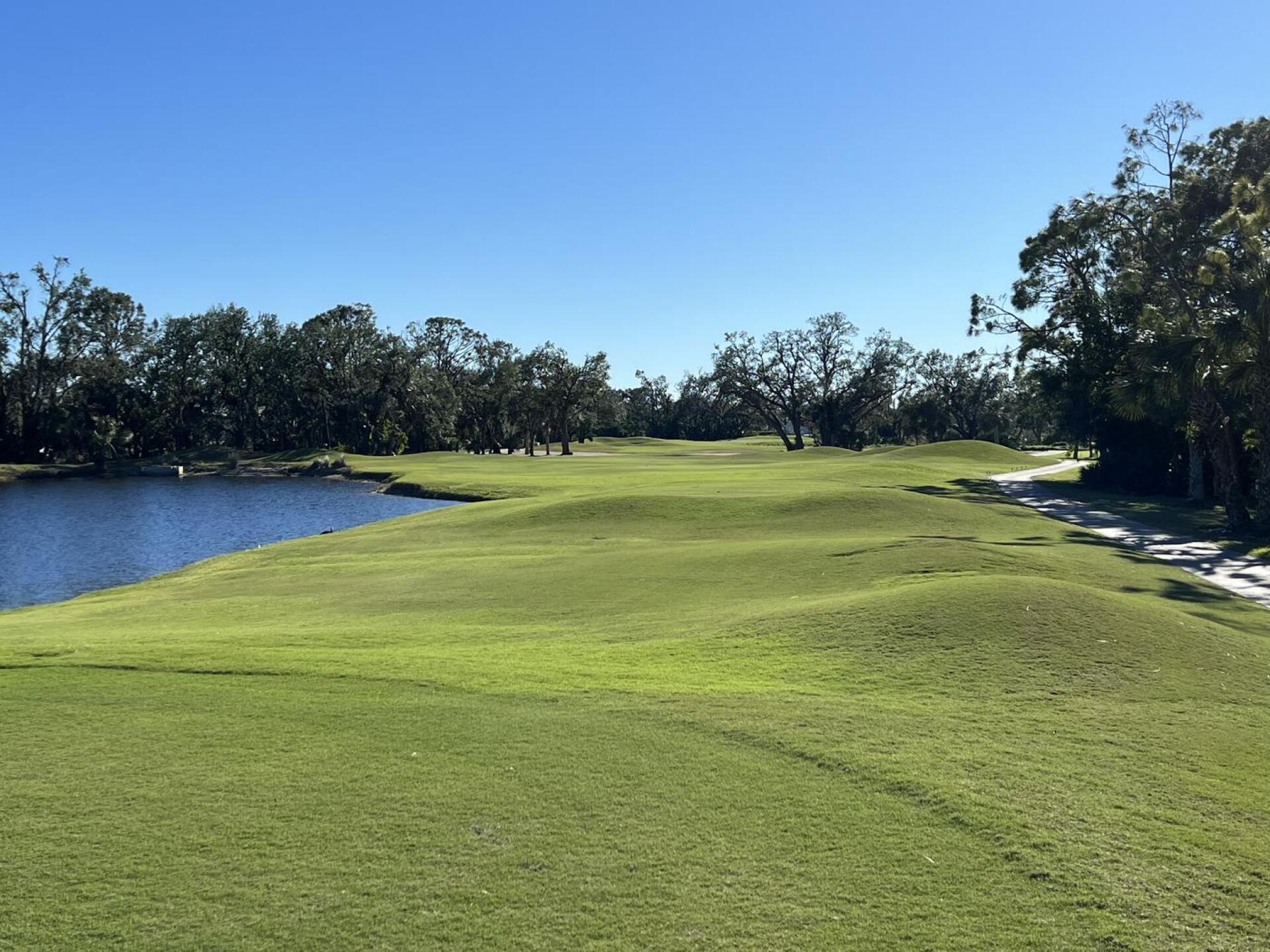 (Photo submitted by DMorasch65 on 12/28/2022)