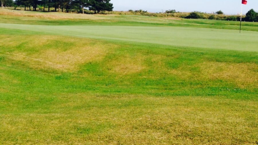 Monifieth Golf Links - Medal: #17