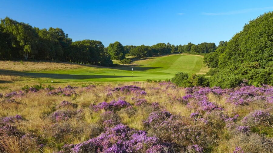 Woodbridge GC