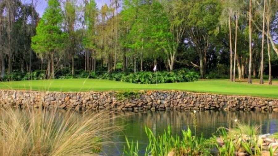 Avila GCC