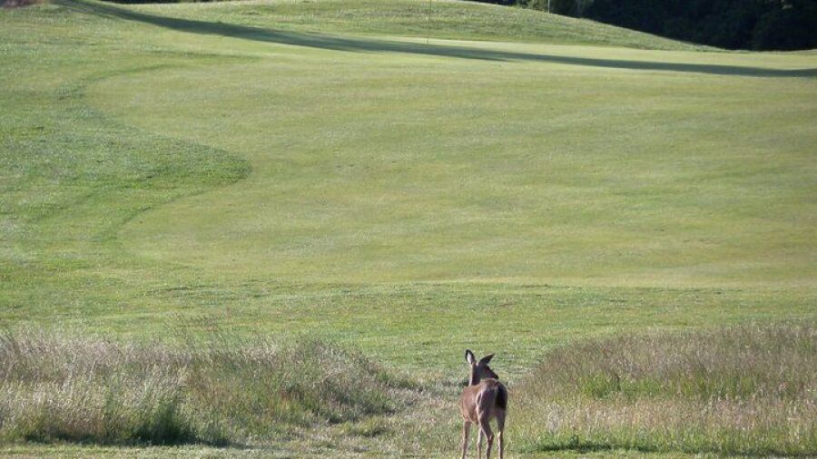 Crystal Springs GC