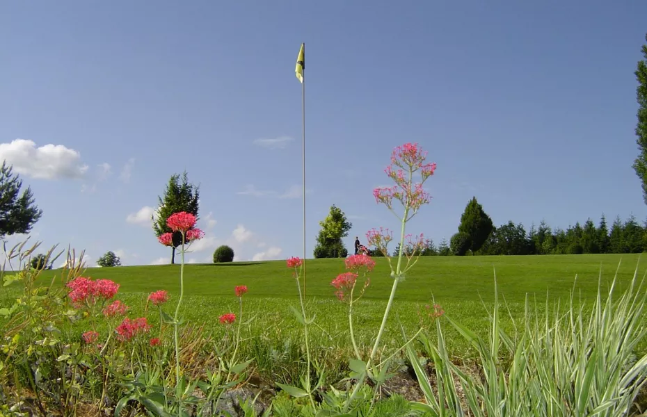 Ueber den Dachern von Passau GC