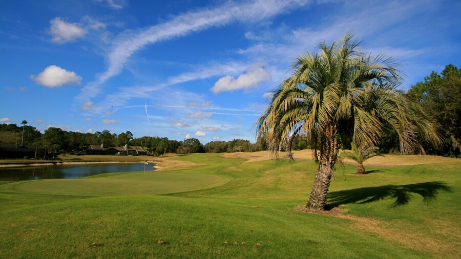 Saddlebrook Resort - Palmer golf course - 8