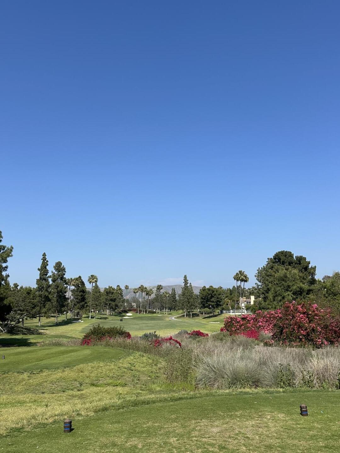 (Photo submitted by Bnow1ck1 on 05/06/2025)