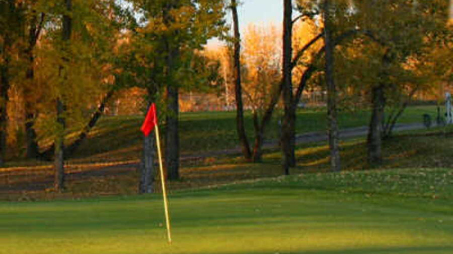 Executive Nine at Crestview GC