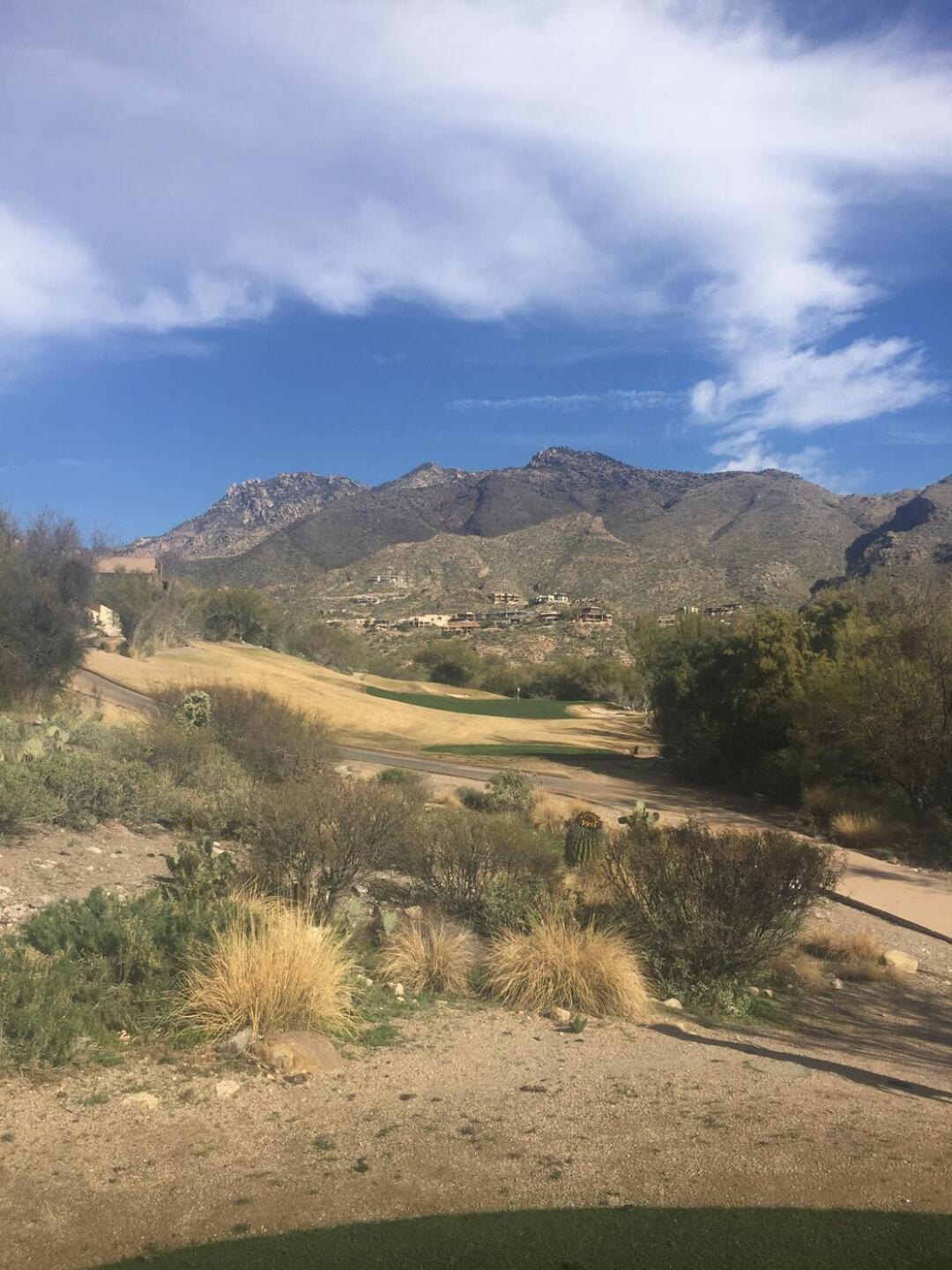 (Photo submitted by u766204156 on 01/20/2020)