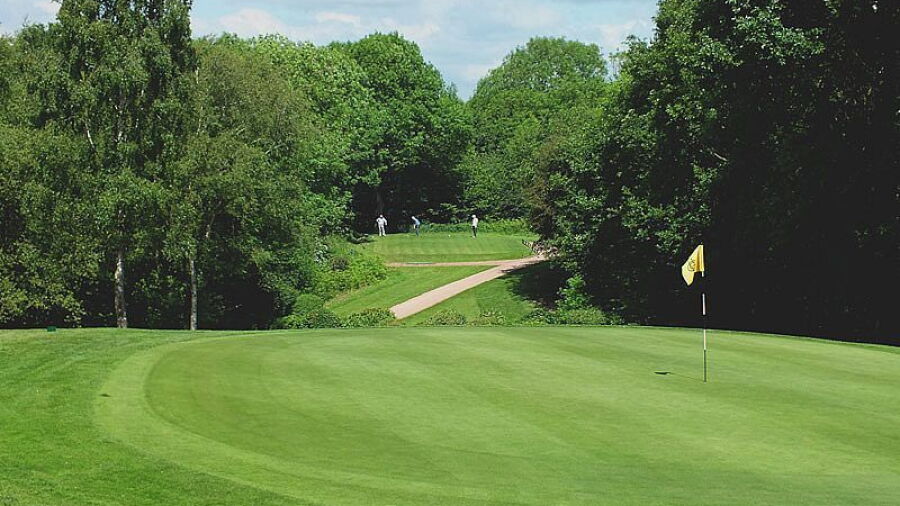 Hallowes GC: #8