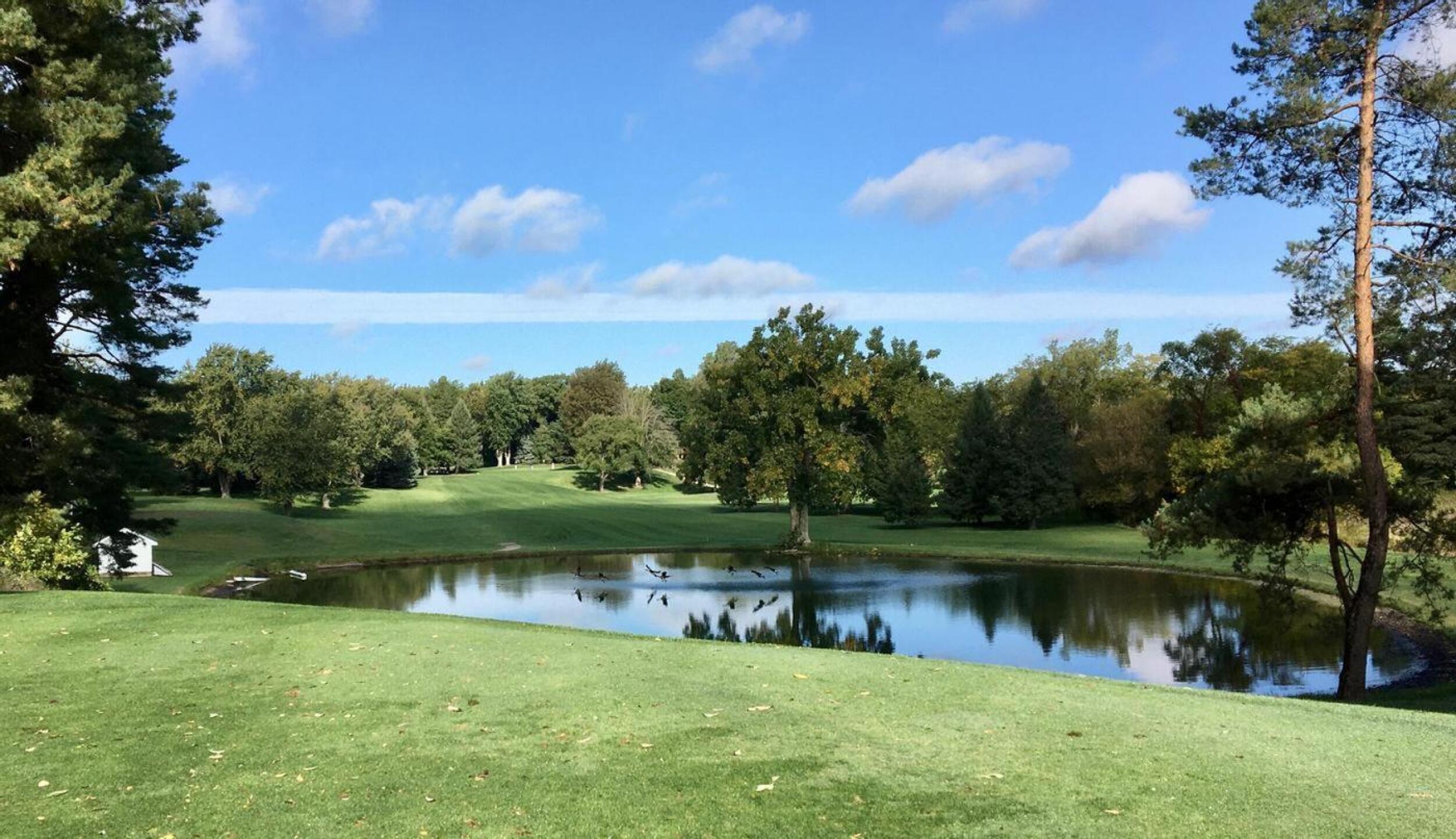 (Photo submitted by pkAqvB6P7tPgXs6GesgZ on 10/23/2024)