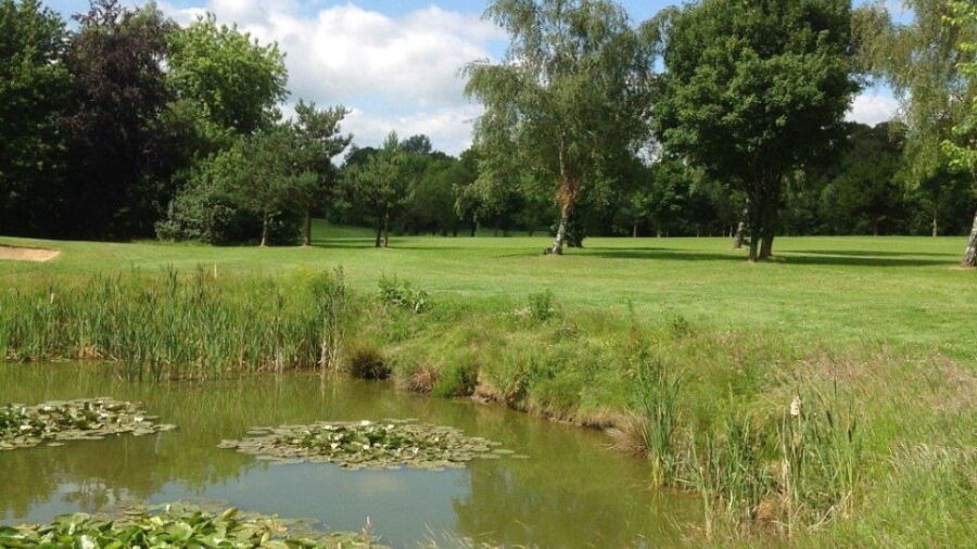 Aldenham GC: 7th green