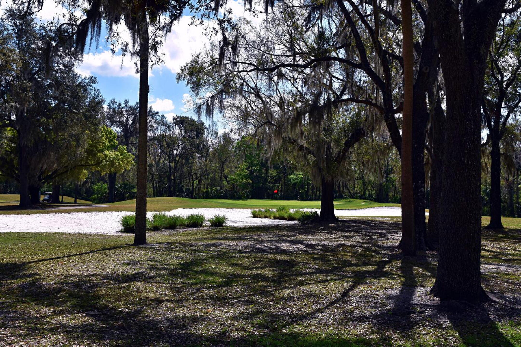 6th Hole: Par-3, 180: A lengthy bunker nabs misplayed shots to the right and front of green six, as seen from the woodland. (Photo submitted by AptlyLinked on 02/18/2025)