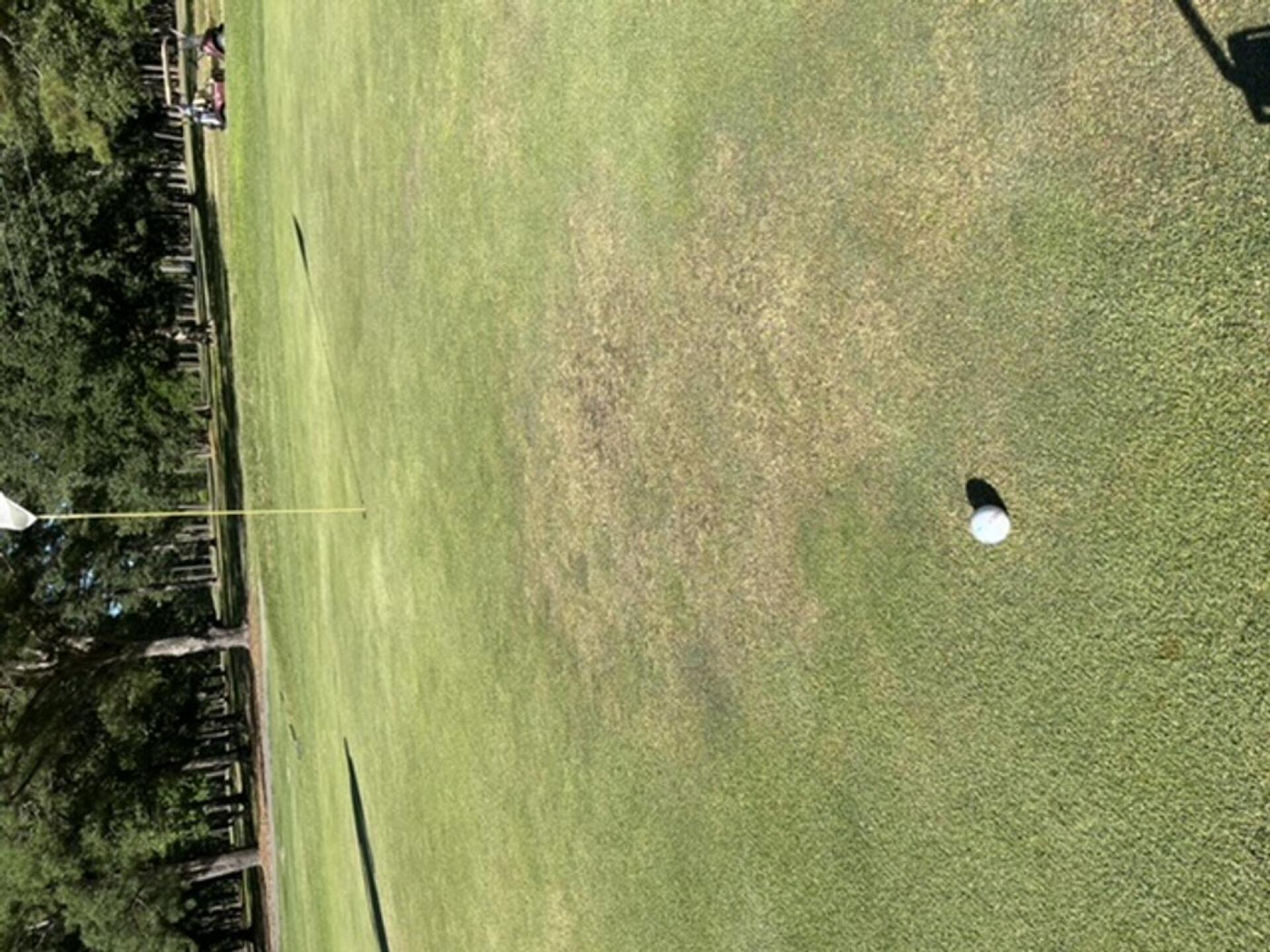 (Photo submitted by u072754598 on 06/21/2022)