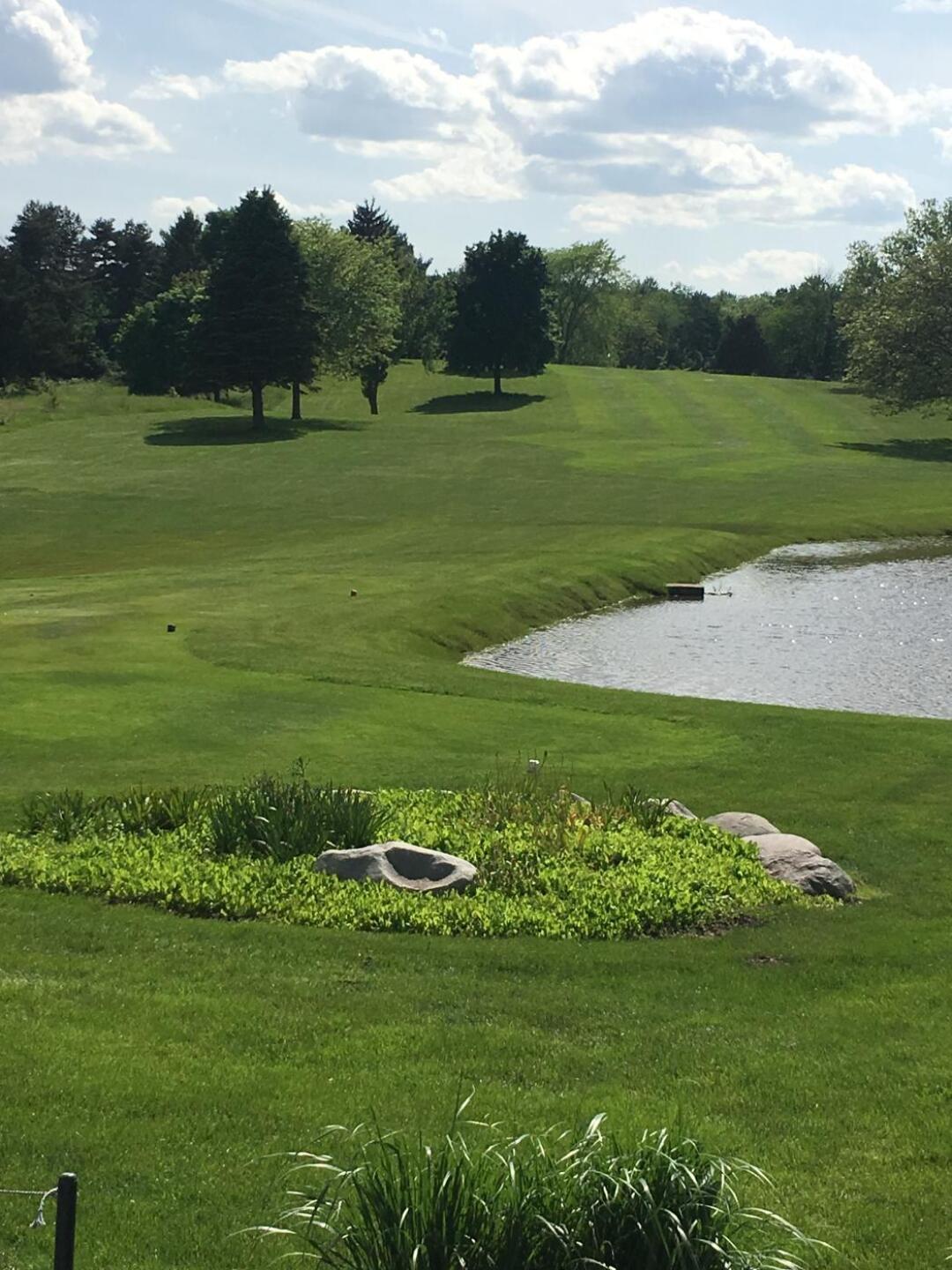 (Photo submitted by j9saylor on 06/03/2019)