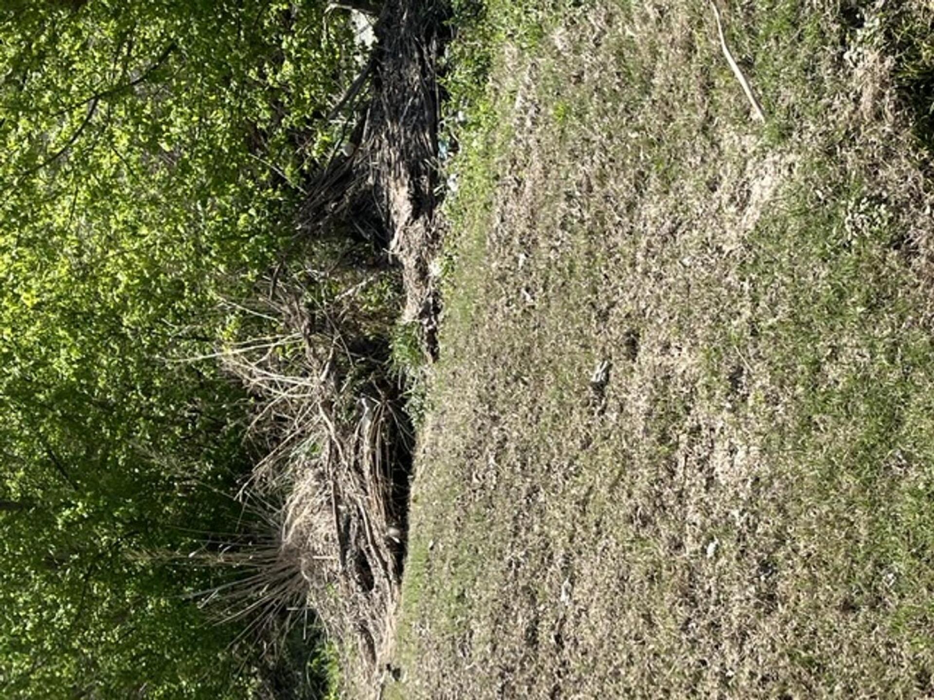 Flood debris everywhere (Photo submitted by Tom5929581 on 04/11/2022)