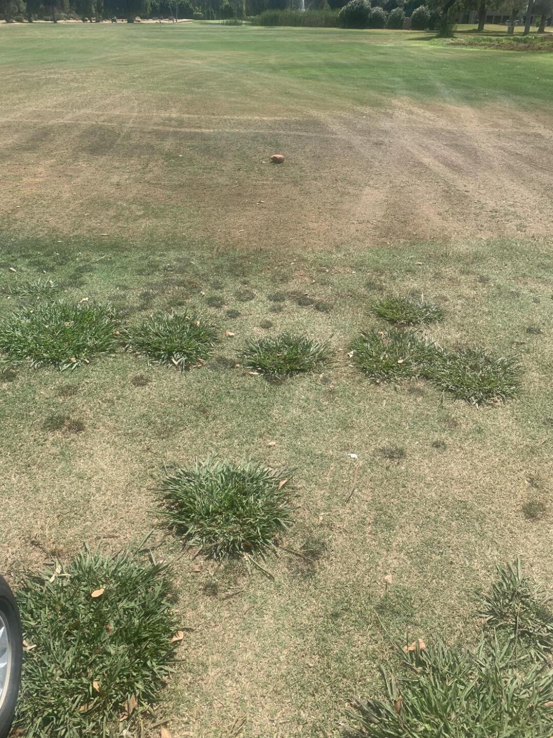 (Photo submitted by u000001419045 on 06/23/2023)