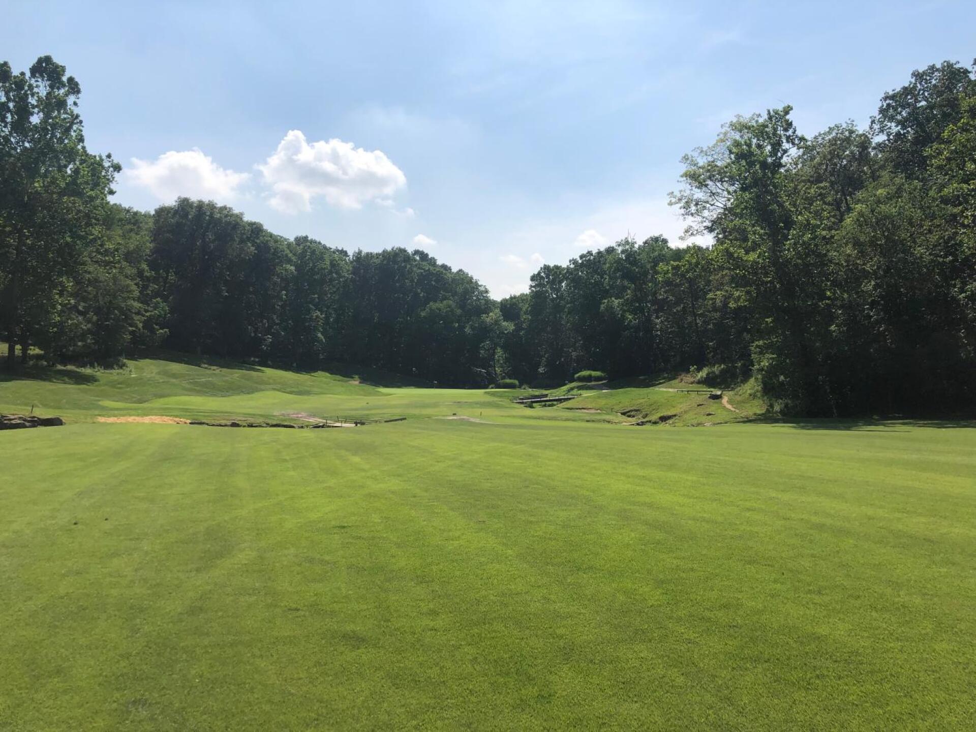 (Photo submitted by Sandoman on 07/06/2019)