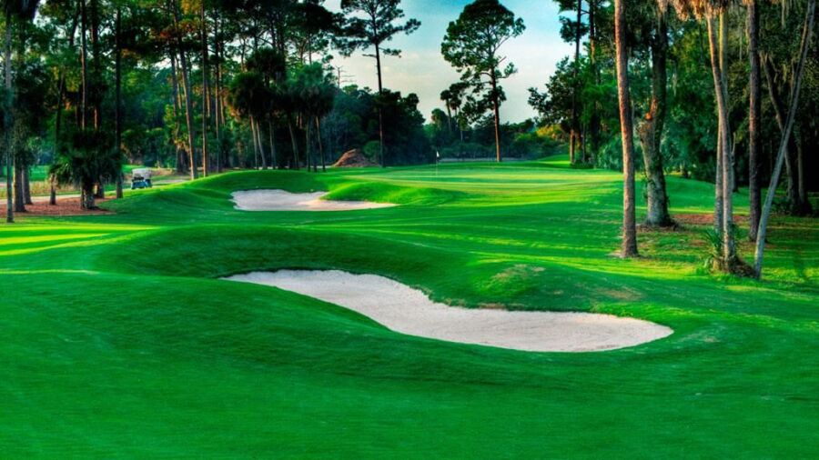 Palm Harbor GC: #4