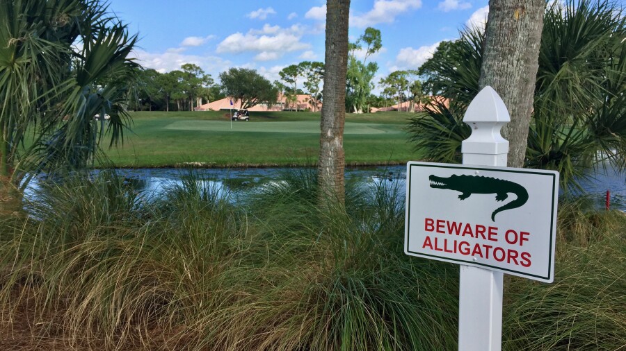 PGA National Palmer gator sign