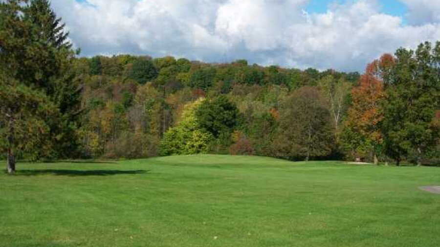 Wild Wood CC: #5