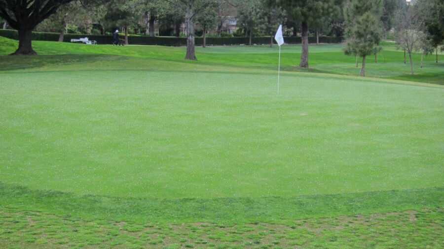 Oakmont CC