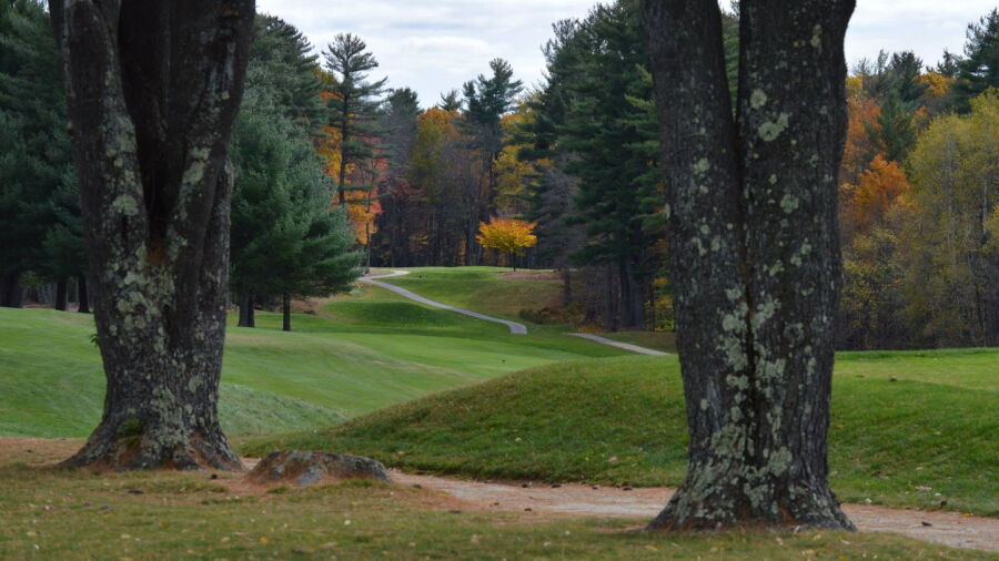 Rochester CC