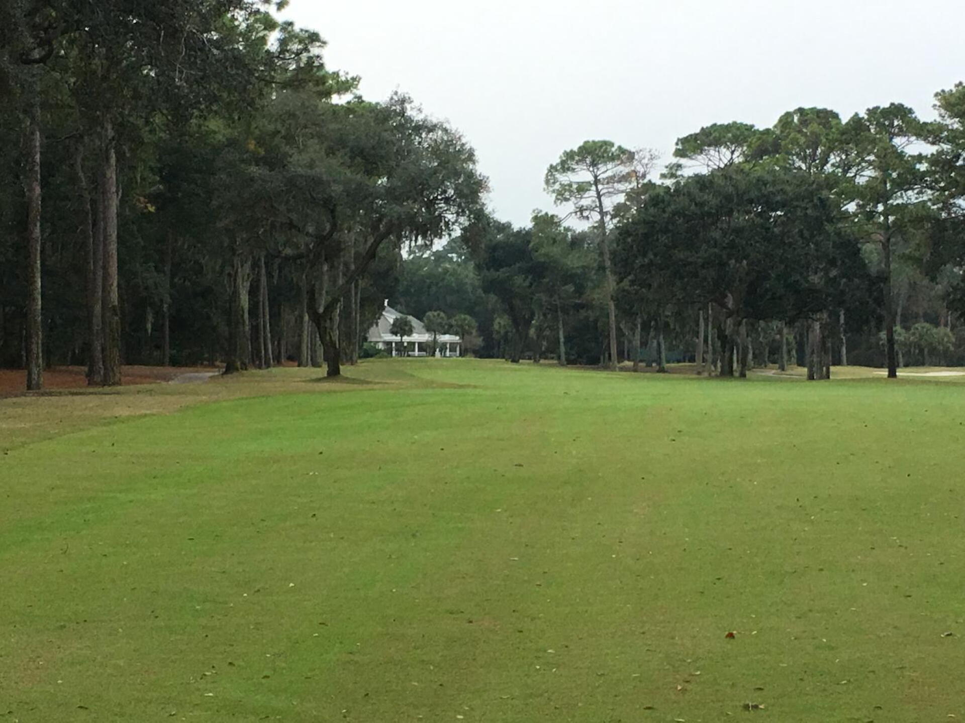 first fairway (Photo submitted by Azalea13 on 11/27/2018)